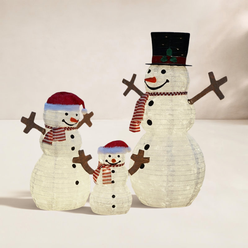 The Holiday Aisle® Gutierrez 3-Piece Lighted Snowman Family